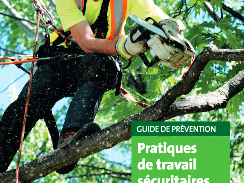 Les pratiques de travail sécuritaires en élagage au Québec VS en&nbsp;France