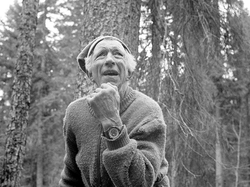 Le cueilleur d’arbres (doc 26&nbsp;min)