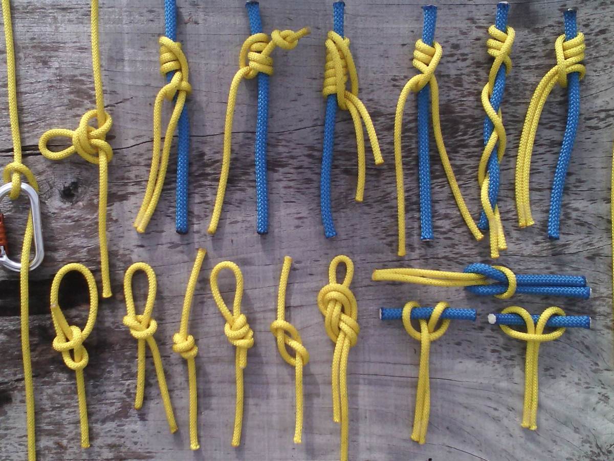 Les nœuds de l&rsquo;arboriste grimpeur