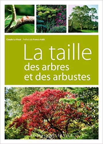taille arbres et arbustes.jpg