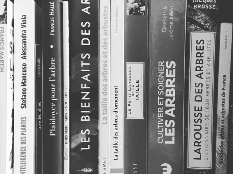 Sélection de livres pour&nbsp;Noël