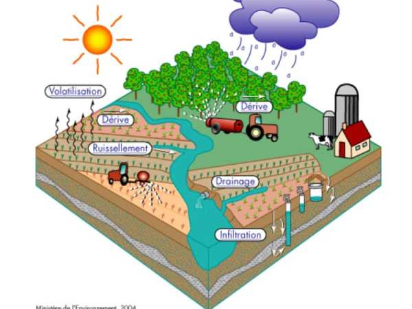 Les pesticides en&nbsp;questions