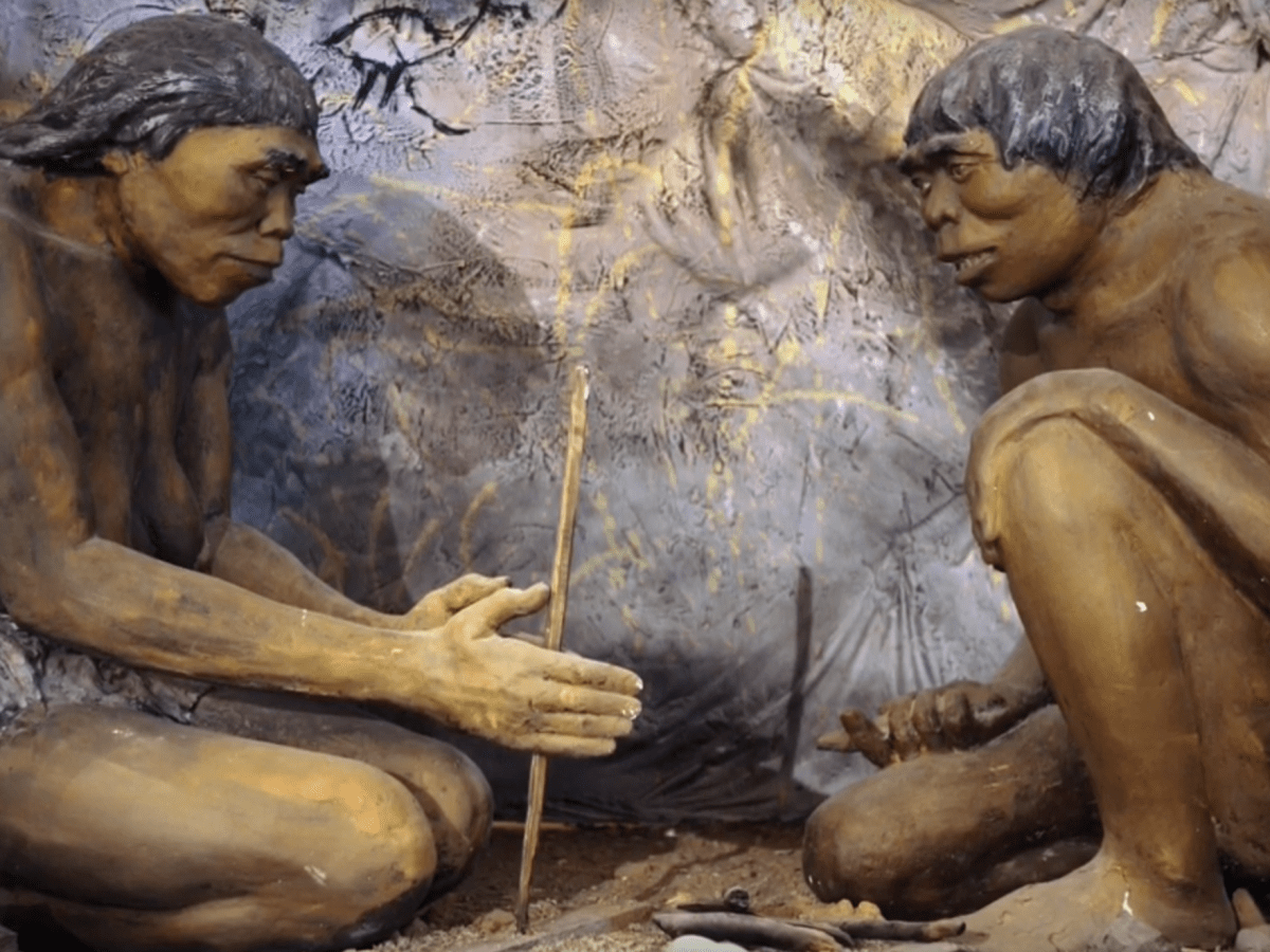 L&rsquo;homme et le&nbsp;bois