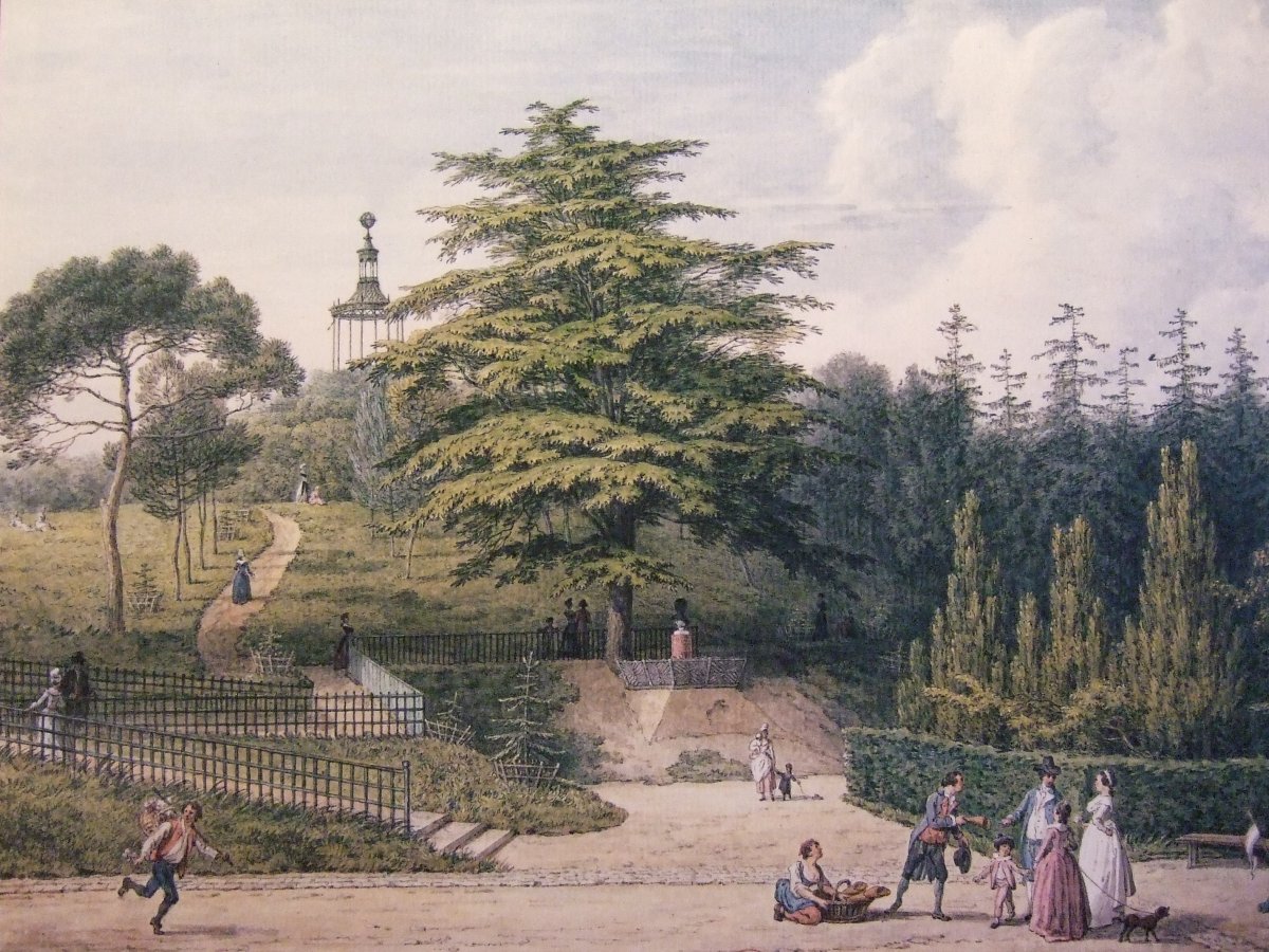 Quel avenir pour nos arbres majestueux&nbsp;?