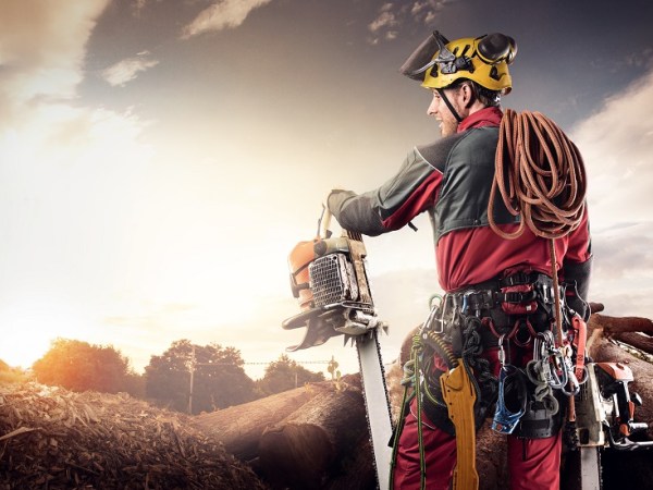 Les EPI et le matériel dans&nbsp;l&rsquo;élagage