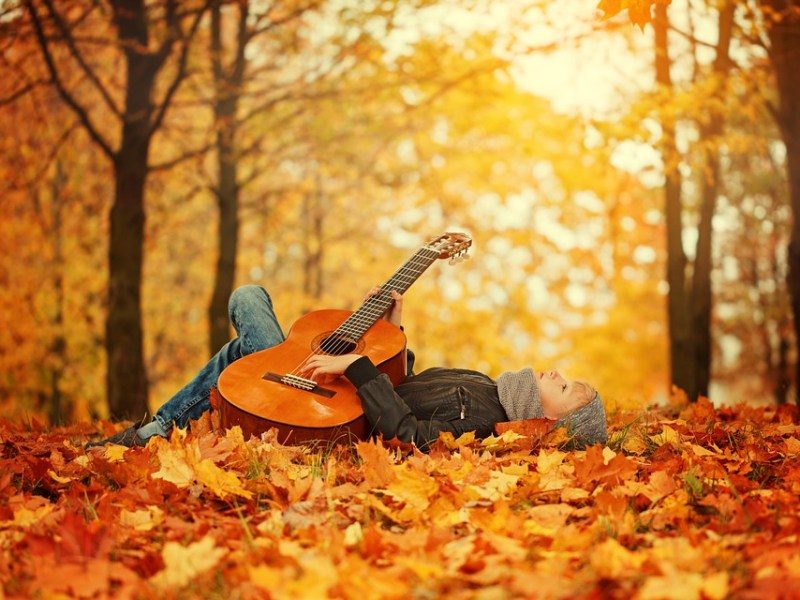 Les arbres en&nbsp;musique