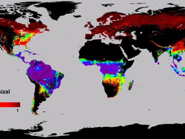 Quand les sciences nous parlent des&nbsp;arbres