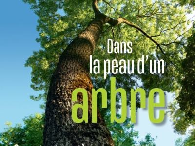 Dans la peau d&rsquo;un&nbsp;arbre