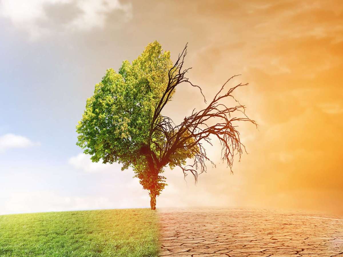 Changement climatique : Résister, s&rsquo;adapter, ou mourir&nbsp;?