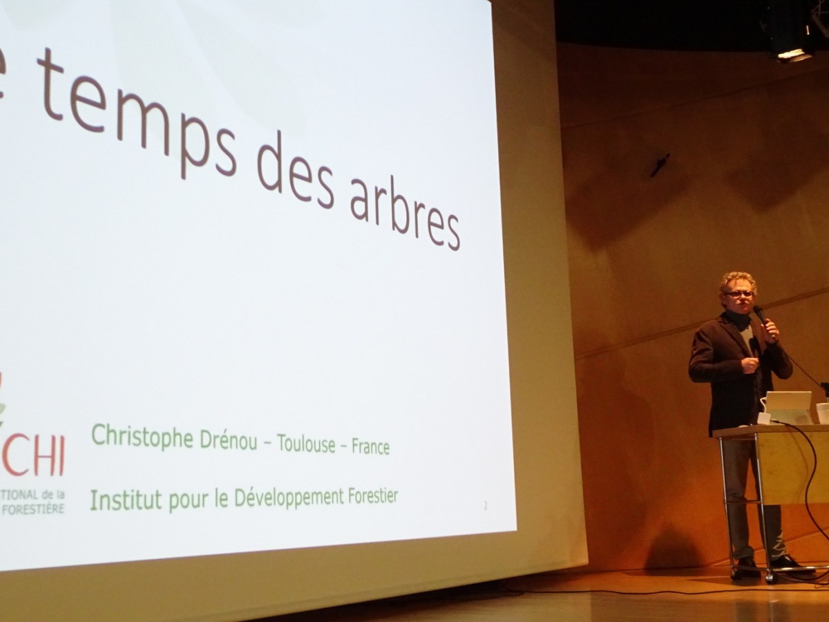 Urbain et périurbain : Le temps des&nbsp;Arbres