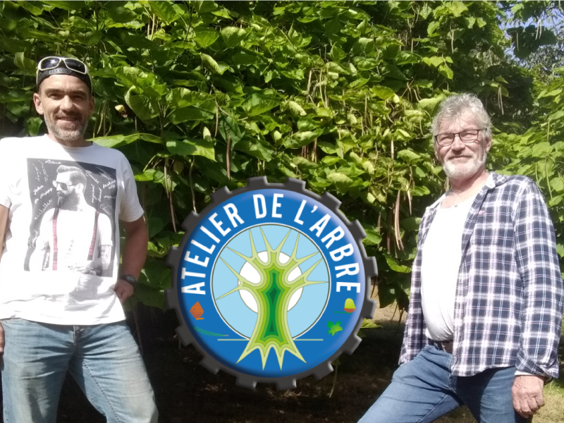 Les formations de l&rsquo;atelier de l&rsquo;arbre, une nécessité pour apprendre à&nbsp;apprendre