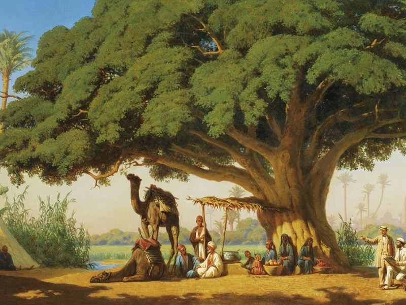 La science des arbres dans les sphères&nbsp;religieuses