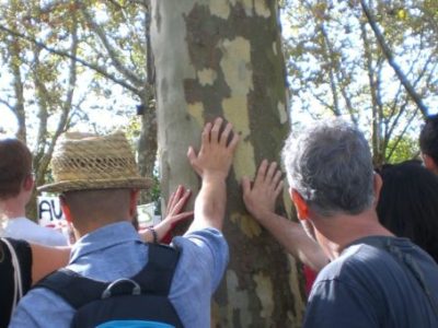 Chartes de l&rsquo;arbre : Concept, réalité, mise en pratique et&nbsp;développement