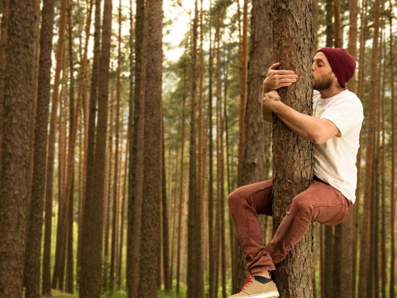 De la ballade en forêt à la sylvothérapie, il n&rsquo;y a qu&rsquo;un&nbsp;pas