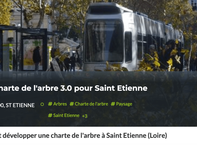 Pour une charte de l&rsquo;arbre à Saint Étienne&nbsp;(Loire)